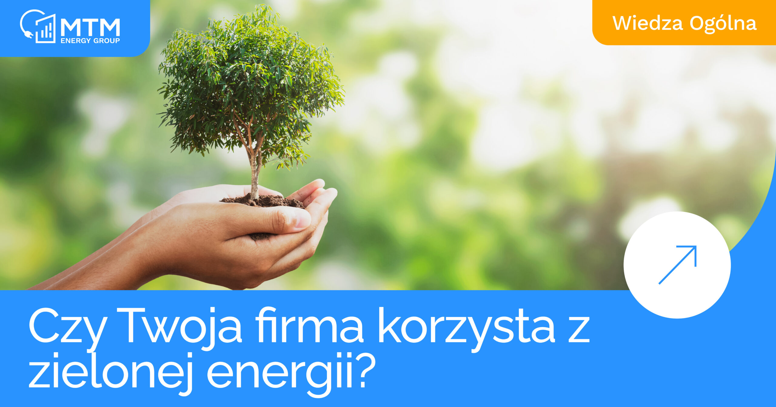 Kluczowe trendy w zielonej energii w 2025 roku 